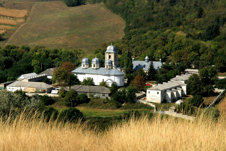 Vedere spre Mănăstirea Dobruşa şi împrejurimi din vîrful stîncii „Golgota”, prim-plan 