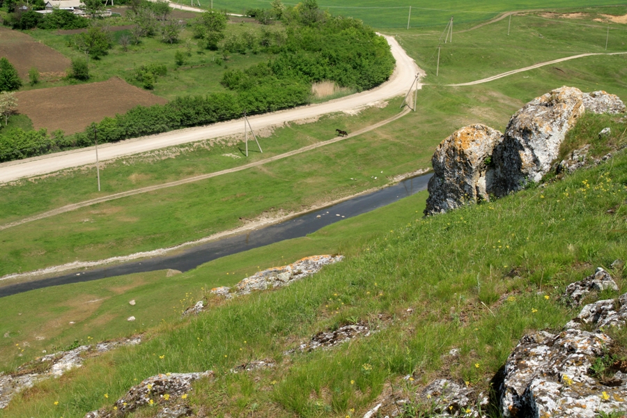 Rîul Camenca în apropiere de satul Buteşti