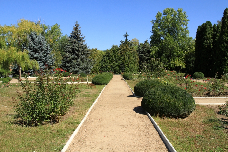 Аллеи, клумбы и газоны центральной части Ботанического сада