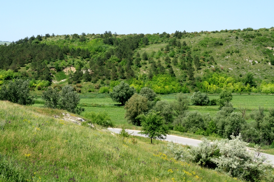 Valea rîului Ichel lîngă satul Goieni