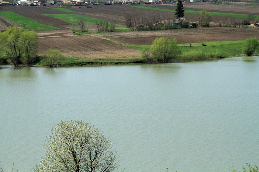 Prutul lîngă satul Bădragii Vechi, malul românesc inundat, aprilie 2013