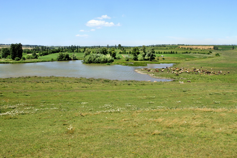 Водохранилище на реке Ларга в селе Котяла