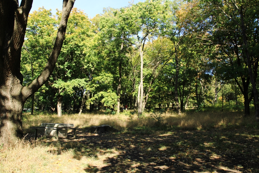 Уголок отдыха у подножия гигансткого дуба в парке Милешть