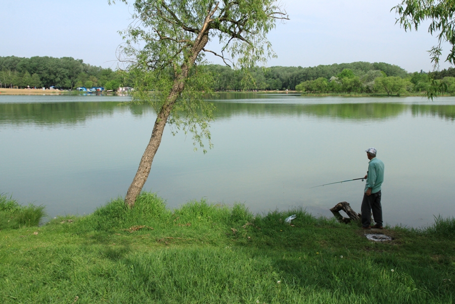 Рыболов на берегу озера