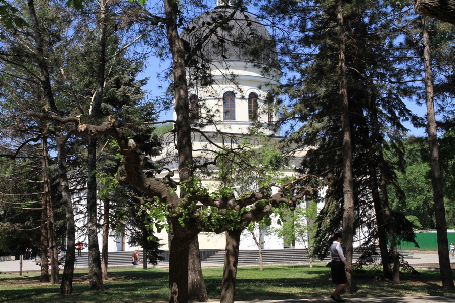 Вид на собор сквозь деревья парка