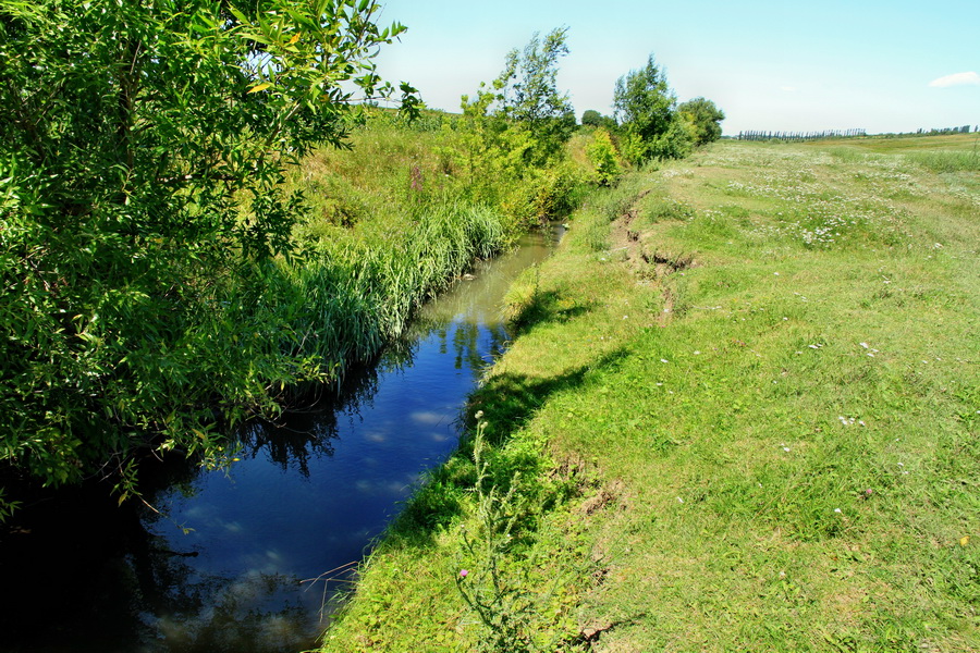 Река Ларга на выходе из села Хлина