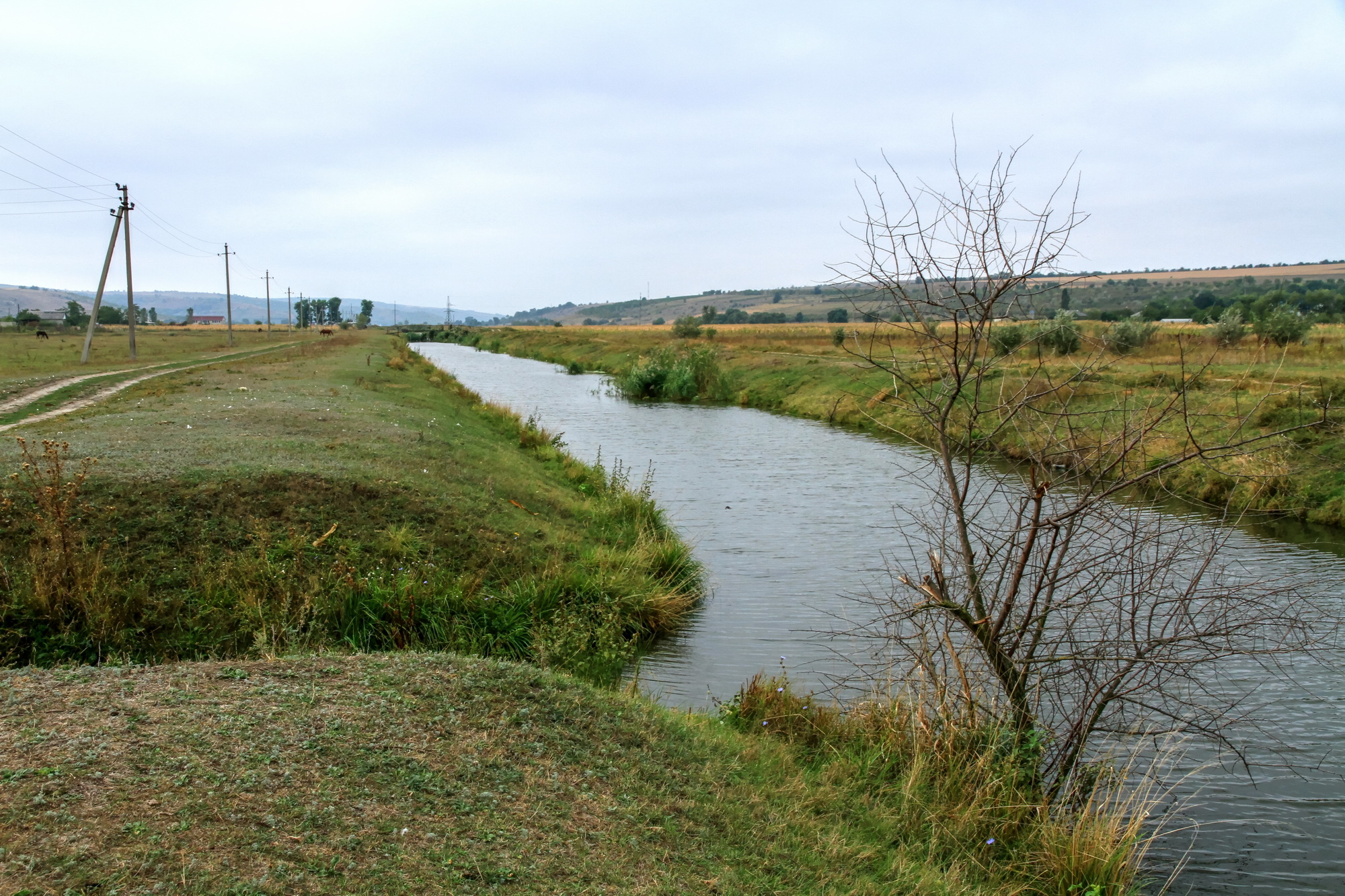 Река Лэпушна на окраинах села Бэлчана, Хынчешть 
