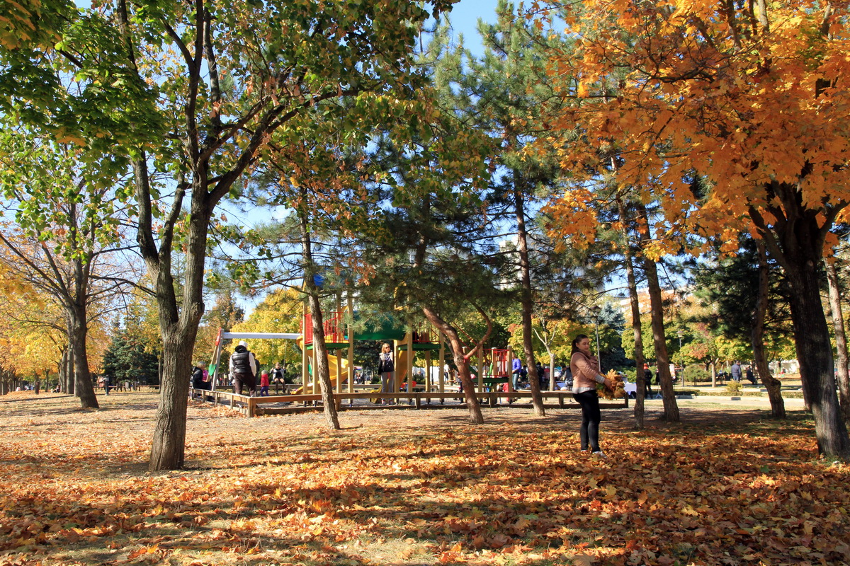 Детская площадка в нижней части сквера, октябрь 2014