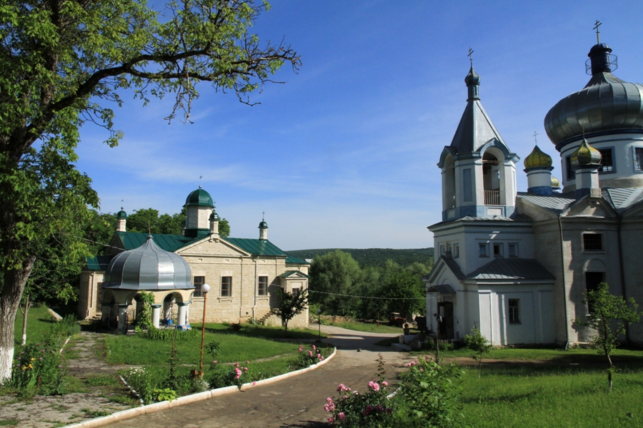 Mănăstirea Condriţa, vara 2011