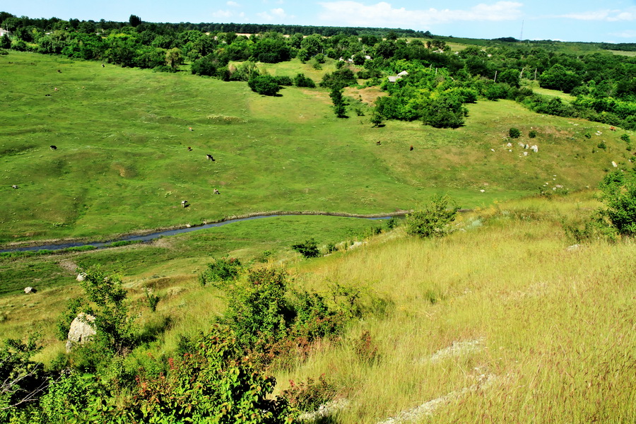 Vedere spre Racovăţ şi valea lui de pe pantele defileului şirului de toltre din preajma satului Halahora de Jos, Briceni
