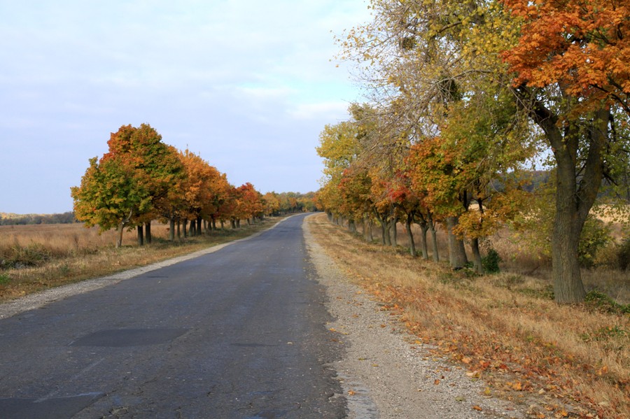 Drumul spre Nisporeni, sfîrşitul lunii octombrie