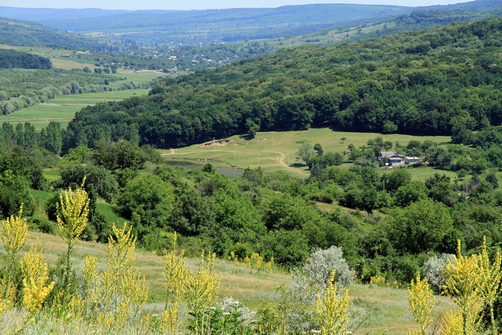 Vedere a satului Leordoaia din vîrful dealului, situat sus de acesta