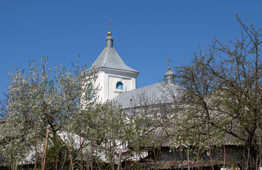 Купола летней церкви монастыря Хирова, Орхей