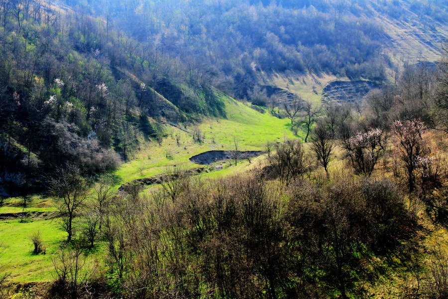 Vedere spre valea pîrîului Bîrnova de sus, de pe drumul situat pe panta stîngă 