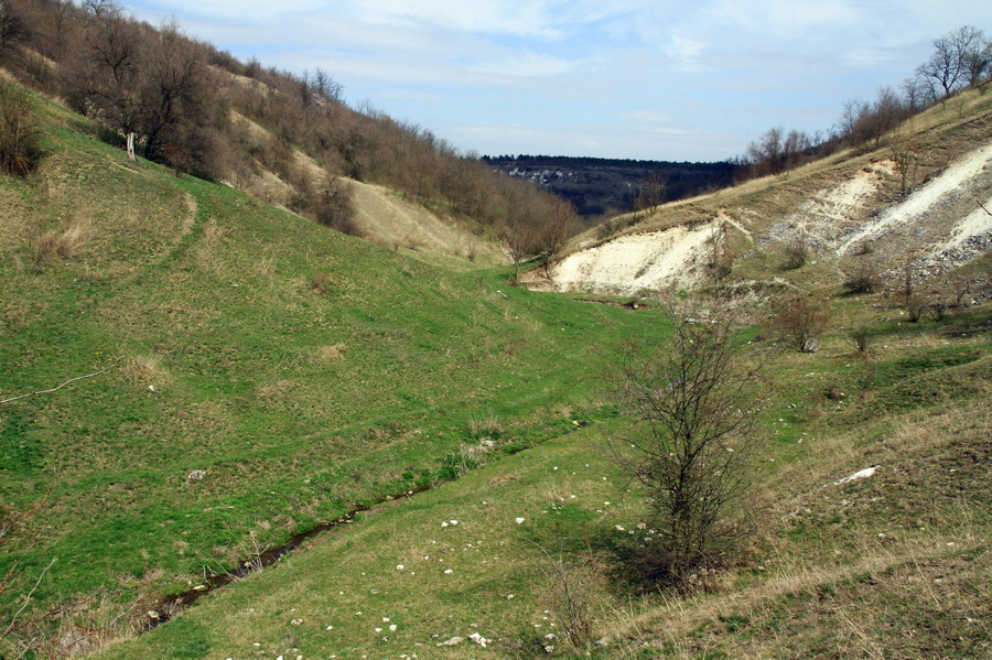 Осыпающиеся известняковые склоны над ручьем в средней части его долины