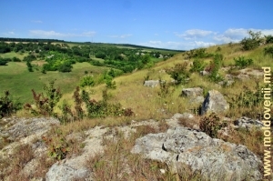 Вид на Раковэц и его долину со склонов ущелья в толтровой гряде у села Халахора де Жос, Бричень