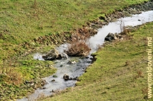 Река Кушмирка вступает в ущелье между селами Лелина и Климэуций де Жос