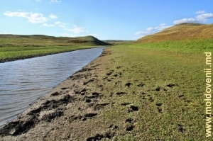 Река Чухур между селами Хородиште и Вэратик, Рышкань