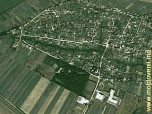 Satul Rediul Mare şi parcul pe harta Google