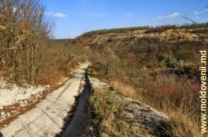 Drumul sus de defileu înspre satul Gîrbova