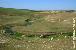 Valea rîului Draghişte între satul Feteşti şi defileul Burlăneşti