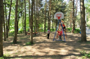 Teren de joacă în parc, mai 2011