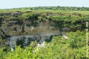 Vedere spre panta dreaptă a defileului şi satul Mărcăuţi