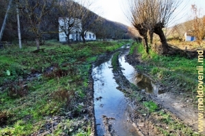 Drumul inundat de-a
lungul rîului în partea de sus a văii