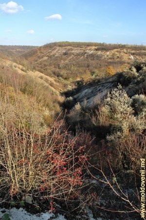 Ущелье, ведущее в долину реки Косарэу