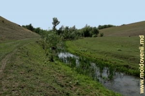 Draghişte în apropiere de satul Burlăneşti