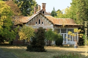 Clădirea oranjeriei conacului Ţaul, Donduşeni