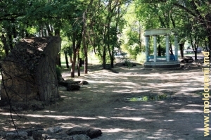Iazul central al parcului