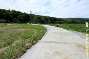 Barajul, care intersectează lacul, vara anului 2011