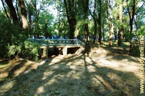 Podeţe în parc