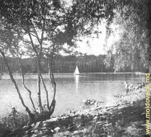 Parcul Valea Morilor în anii '60-'70 sec. XX
