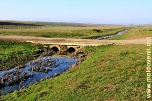 Мост через Кушмирку у села Кушмирка
