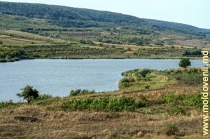 Водохранилище на р. Лэпушна вблизи с. Юрчень, Ниспорень 