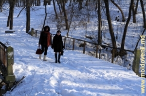 Un poduleţ în parc, ianuarie 2013