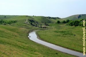 Долина реки Чухур у села Хородищи, Рышкань 