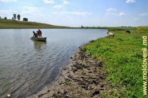 Водохранилище на реке Раковэц в селе Клокушна, Окница