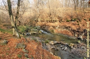 Перекаты на реке Кушмирке в ущелье