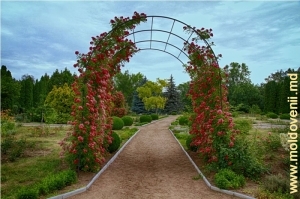 Arc pitoresc de flori