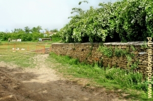 Стена, окружающая территорию источников