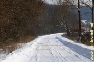 Зимняя дорога в Кондрице, Стрэшень, 2012 