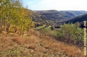 Vedere spre valea rîului Cosărău de pe panta de sus de Rîpa Rudi