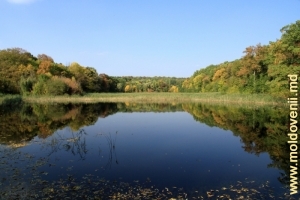 Lacul din parcul Ţaul, Donduşeni