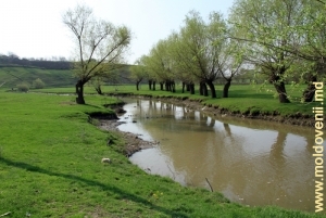 Река Драгиште, село Бурлэнешть 