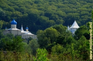 Купола монастыря Каларашовка на фоне лесистого склона ущелья