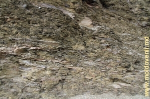 Обнажения глинистых сланцев в селе Наславча