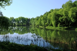 Озеро в парке (май 2011)
